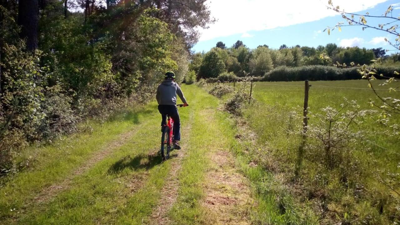 Gite Des Gravets Sigalens Zewnętrze zdjęcie